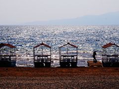-月亮湾湿地公园