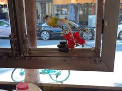 -花鸟鱼私家小厨·川菜(文殊院店)