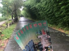 -杭州双溪漂流景区