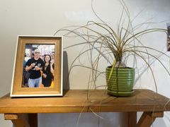 -参差咖啡(水果湖公园店)