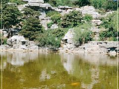 -北京西山国家森林公园