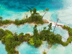 -九寨沟-树正沟