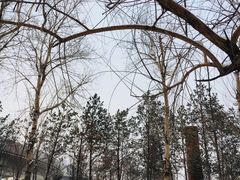 -长春市南湖公园