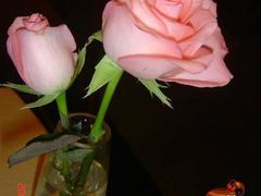 桌上美丽是鲜花～-哈根达斯(滨江店)