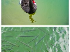 -红旗山庄(圭峰山店)