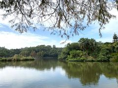 -深圳仙湖植物园