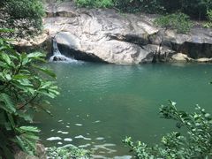 -广州白江湖森林公园