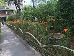 -文瀛公园