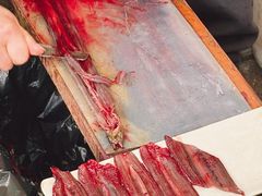 -铜元老码头鳝鱼火锅