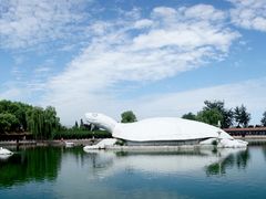 -东方巨龟苑景区