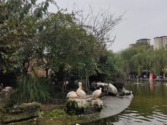 -成都动物园