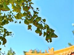 -戏马台景区