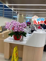 -上海交通大学医学院附属上海儿童医学中心(陆家嘴总院区)