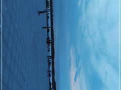 -丁香湖公园