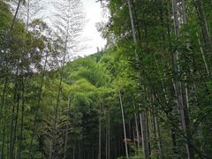 -径山寺