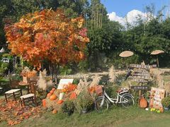 -HERRE·FARM 赫尔露营农场·团建聚会包场