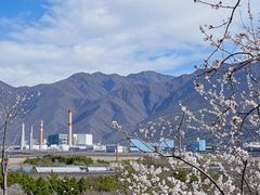 -白水寺森林公园