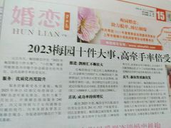 -梅园婚恋·婚姻介绍