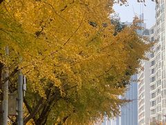 -小狗面馆·杭帮拌川·片儿川(大沽路店)