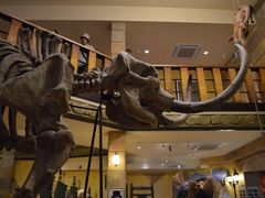 -信不信由你博物馆