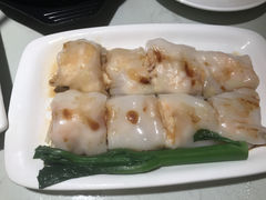 -南枝记
