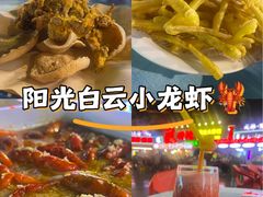 -阳光院坝小龙虾(红牌楼店)