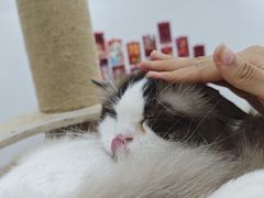 -观音桥步行街