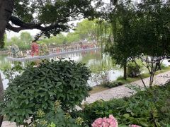 -无锡蠡湖国家湿地公园-蠡园