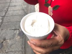 -洪馨椰子