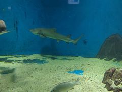 -秦皇岛新澳海底世界