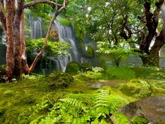 -Chom Cafe and Restaurant