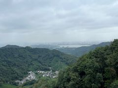 -龙井村