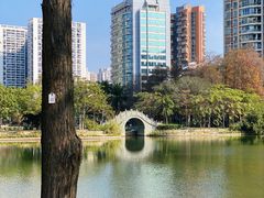 -四海公园(南山区)