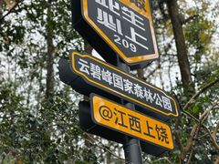 -云碧峰国家森林公园