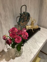 -紫颖·专业美胸·连锁养护中心