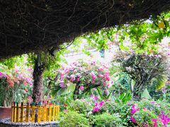 -呀路古热带植物园