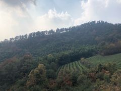 -敬亭山风景名胜区