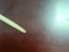 -拉完海鲜大排档(温岭店)