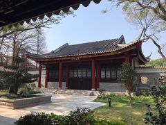-顺峰山公园