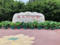 -莲花池公园