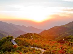 -大围山国家森林公园