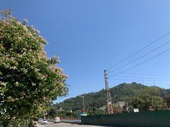 -旗岭森林公园