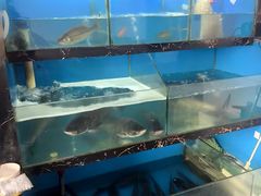-天赋鱼馆(竹乡特色街店)