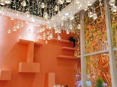 -藏猫猫咖啡主题馆(中央大道店)