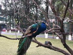 -西昌邛海宾馆