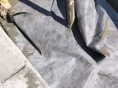 -广州啄木鸟房屋防水补漏
