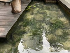 -泉乐坊步行街(烟酒特产平价超市店)