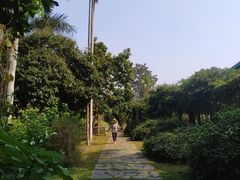 -中国科学院西双版纳热带植物园