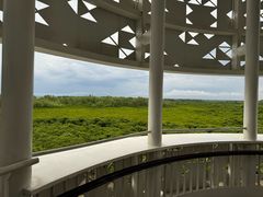 -东寨港红树林旅游区