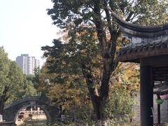 -龙潭水乡